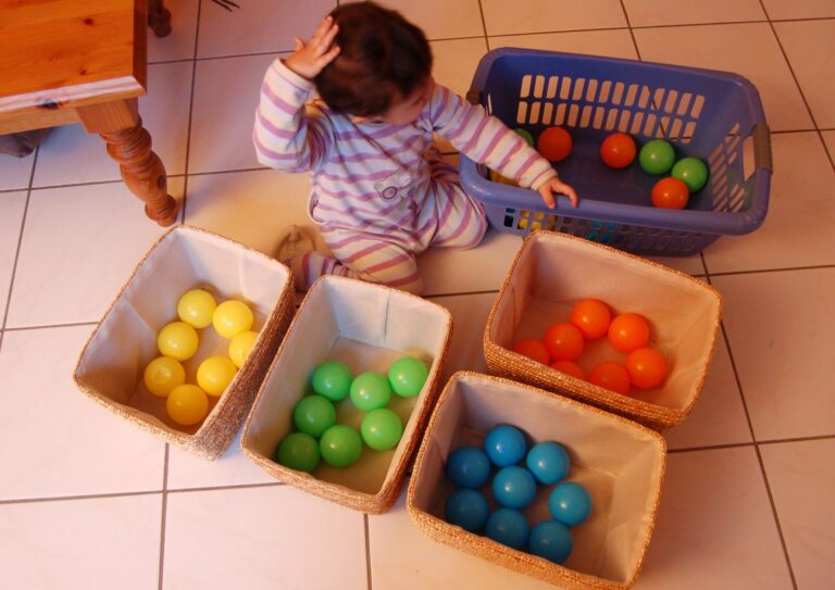 Jeux Montessori pour enfant de 18 mois