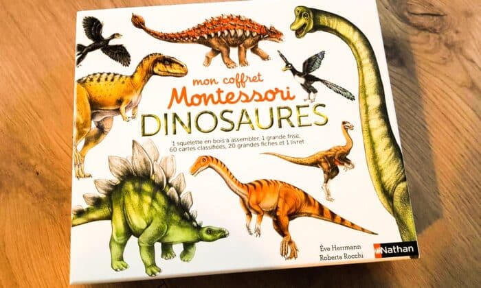 Mon coffret Montessori dinosaures