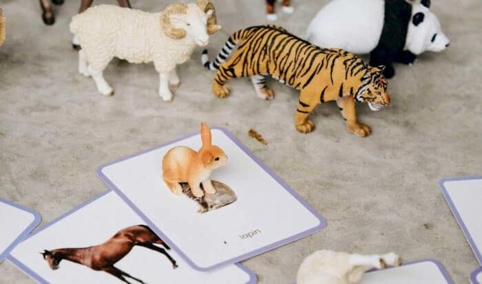 Carte animaux Montessori