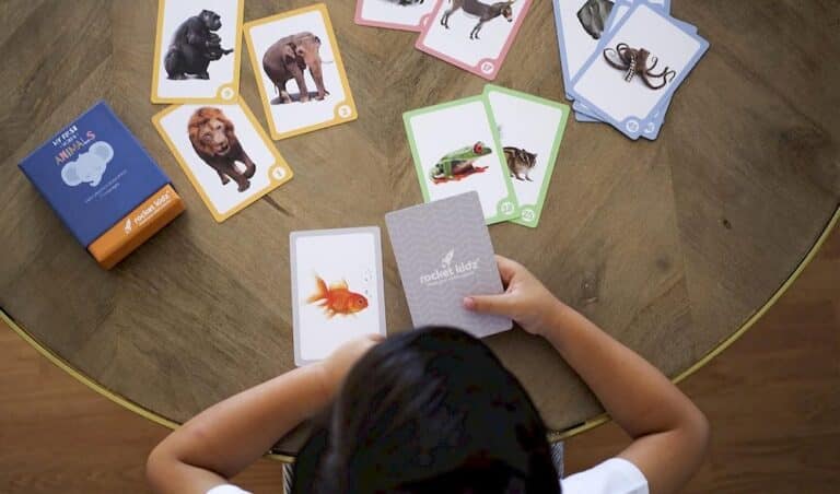 Un enfant jouant le jeu de carte animaux Montessori