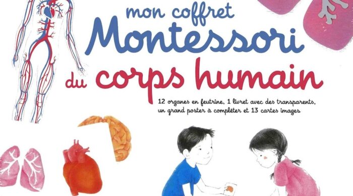 Un Coffret Montessori Corps Humain